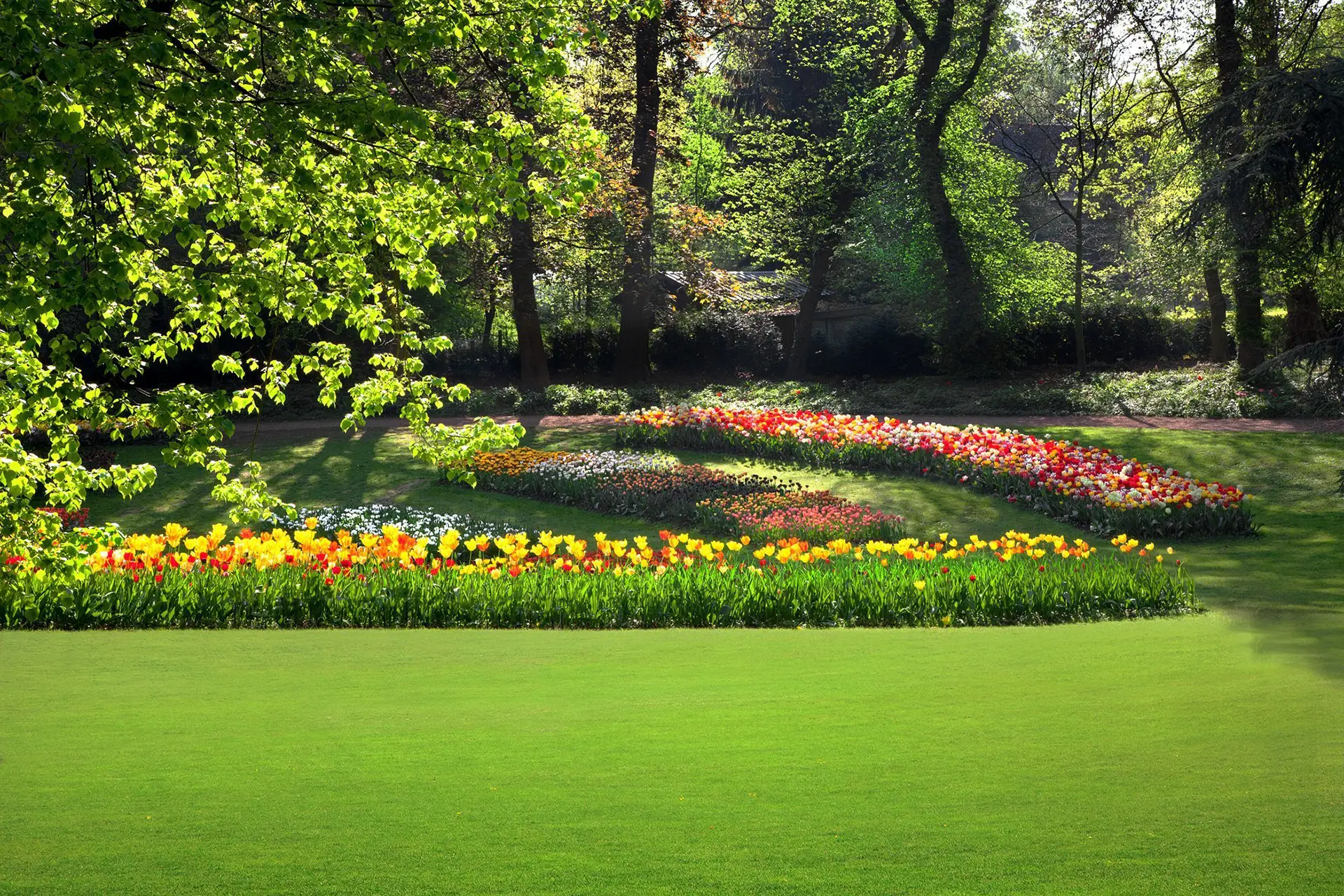 Trattamenti per la manutenzione giardini Reggio Emilia preventivo prezzo