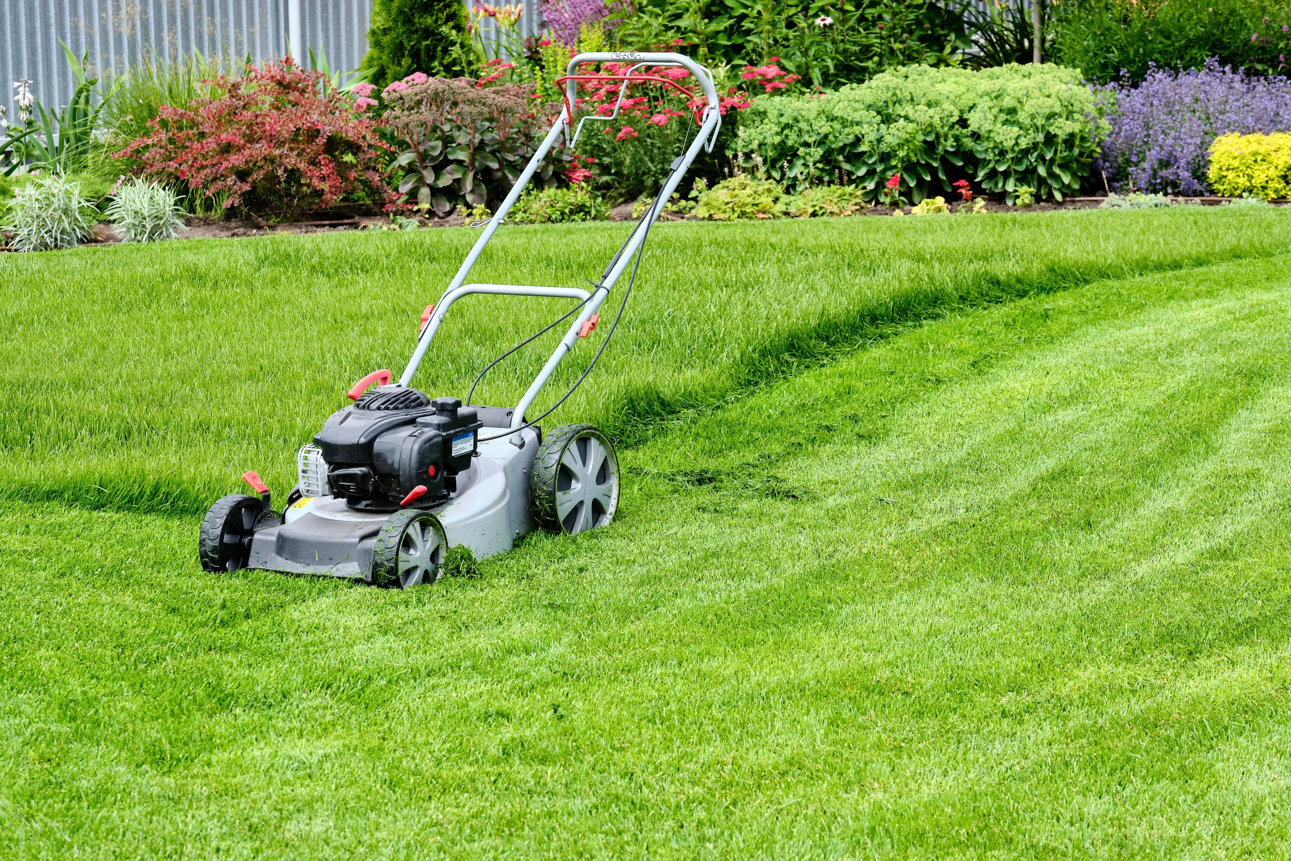 Giardiniere per sopralluogo manutenzione giardini privati Reggio Emilia